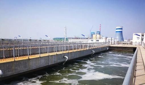 машина прессы шуги 250mm, обработка сточных вод прессы винта 1.5Kw