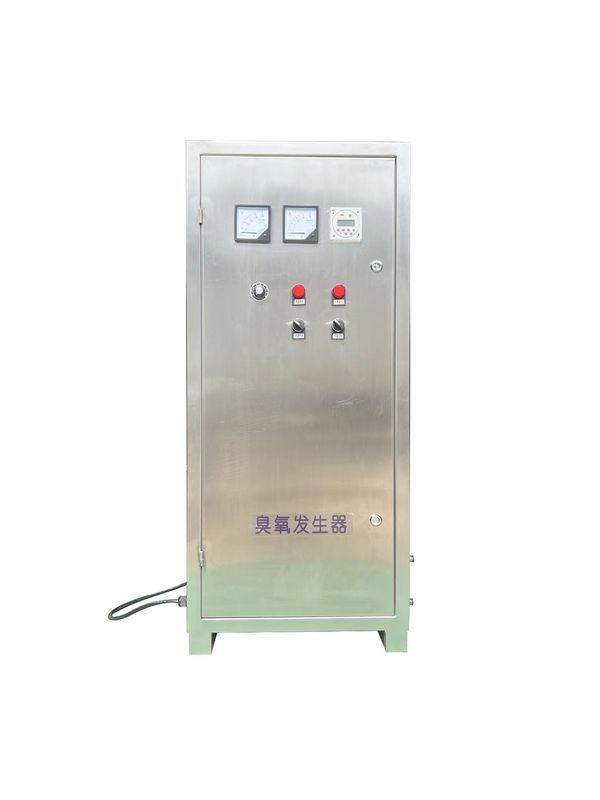 Stainless Steel Ozone Generator – 10-100g/h Air Source Water-Cooled Industrial Ozone Equipment